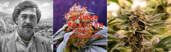 скорость Белокуриха
