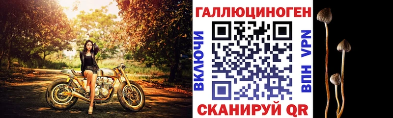 Галлюциногенные грибы Magic Shrooms  даркнет сайт  Нерчинск 