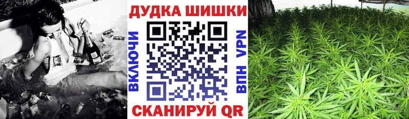 где купить наркоту  Нерчинск  Конопля планчик 